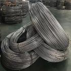 Hot Rolled Alloy Steel Wire Rod In Coil Mild Steel Nail Wire SAE 1006 SAE1008