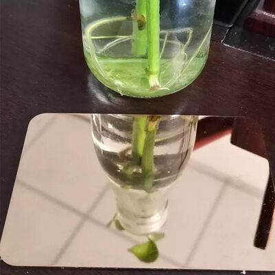 ซื้อ ผนังเหล็กไร้สแตนเลส 316 ที่ม้วนร้อนสําหรับการเจาะผนังด้วยพื้นผิว BA 2B 8K HL การผลิตออนไลน์